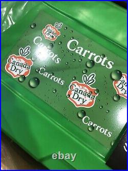 Canada Dry Anwar Carrots Swimming Pool and RC C3 Remote Control Cooler NTWRK