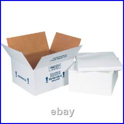CleanItSupply Insulated Shipping Kits, 12 x 10 x 5, White, 4/Case (225C)