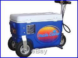 Cooler Scooter 300w