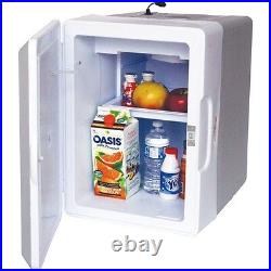 Large 52 Qt Electric Cooler & Heater, Thermoelectric Car RV Travel Chest Fridge