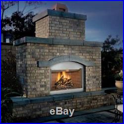 Stainless Steel 42 fireplace insert